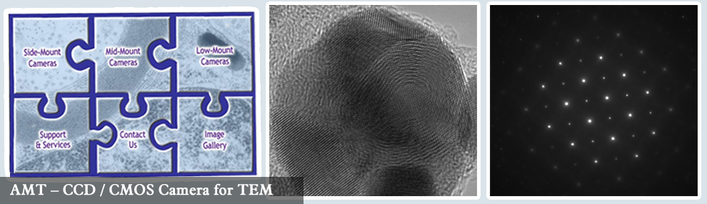 AMT – CCD / CMOS Camera for TEM